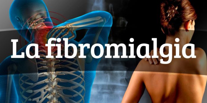 La Fibromialgia Y El Factor De Transferencia