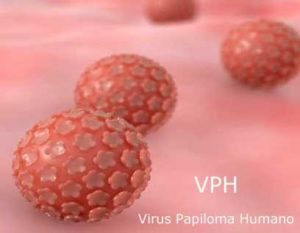 Virus del Papiloma Humano y el Factor de Transferencia