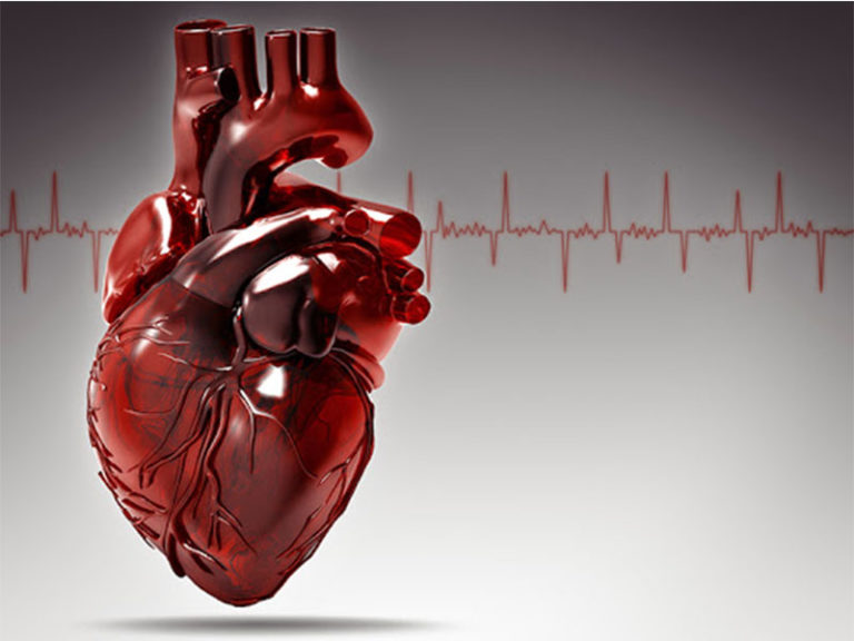 Como Prevenir Enfermedades Cardiovasculares - InmunoFuerte